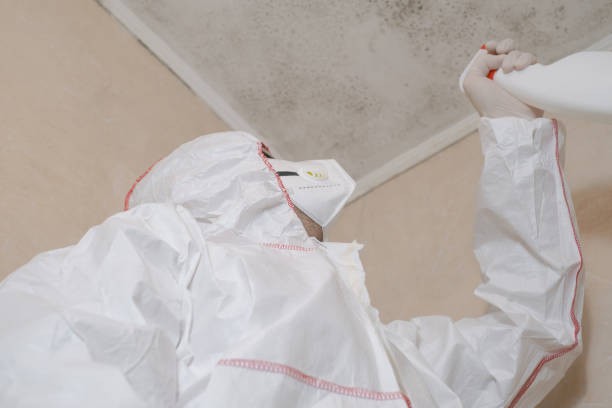 Best Best Mold Removal Companies  in Radford, VA