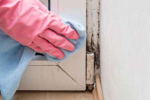 Best Water Damage Restoration  in Radford, VA